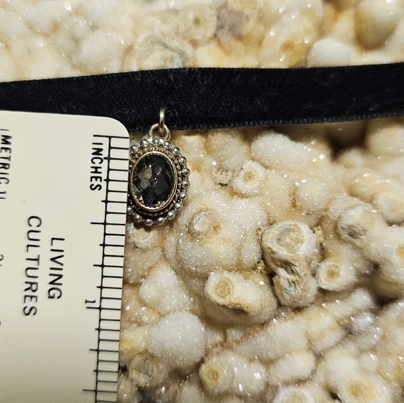 Velvet Choker with Gray Crystal Pendant - Picture 3 of 4